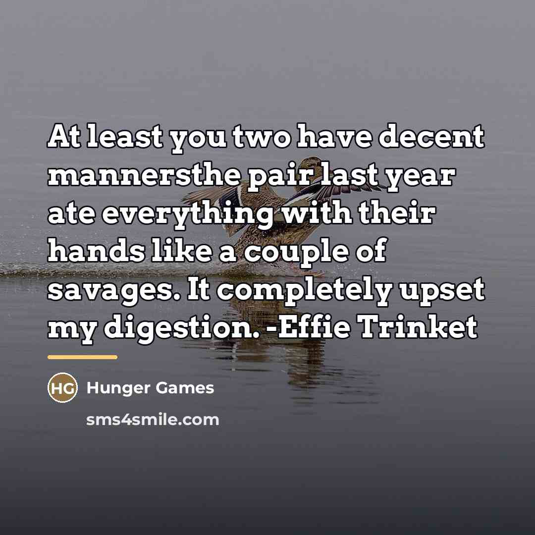 “At least you two have decent mannersthe pair last year…” quote by Hunger Games