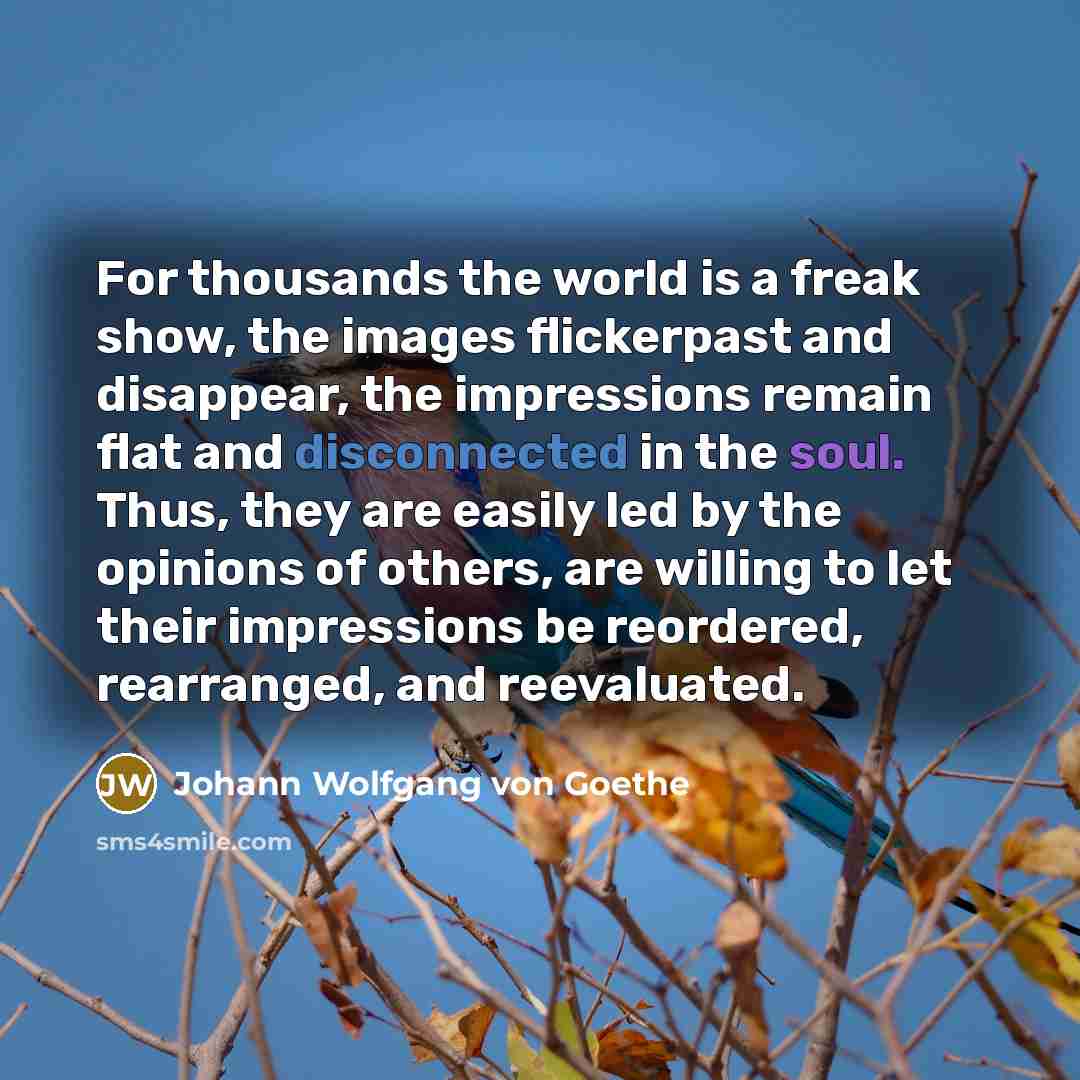 “For thousands the world is a freak show, the images…” quote by Johann Wolfgang Von Goethe