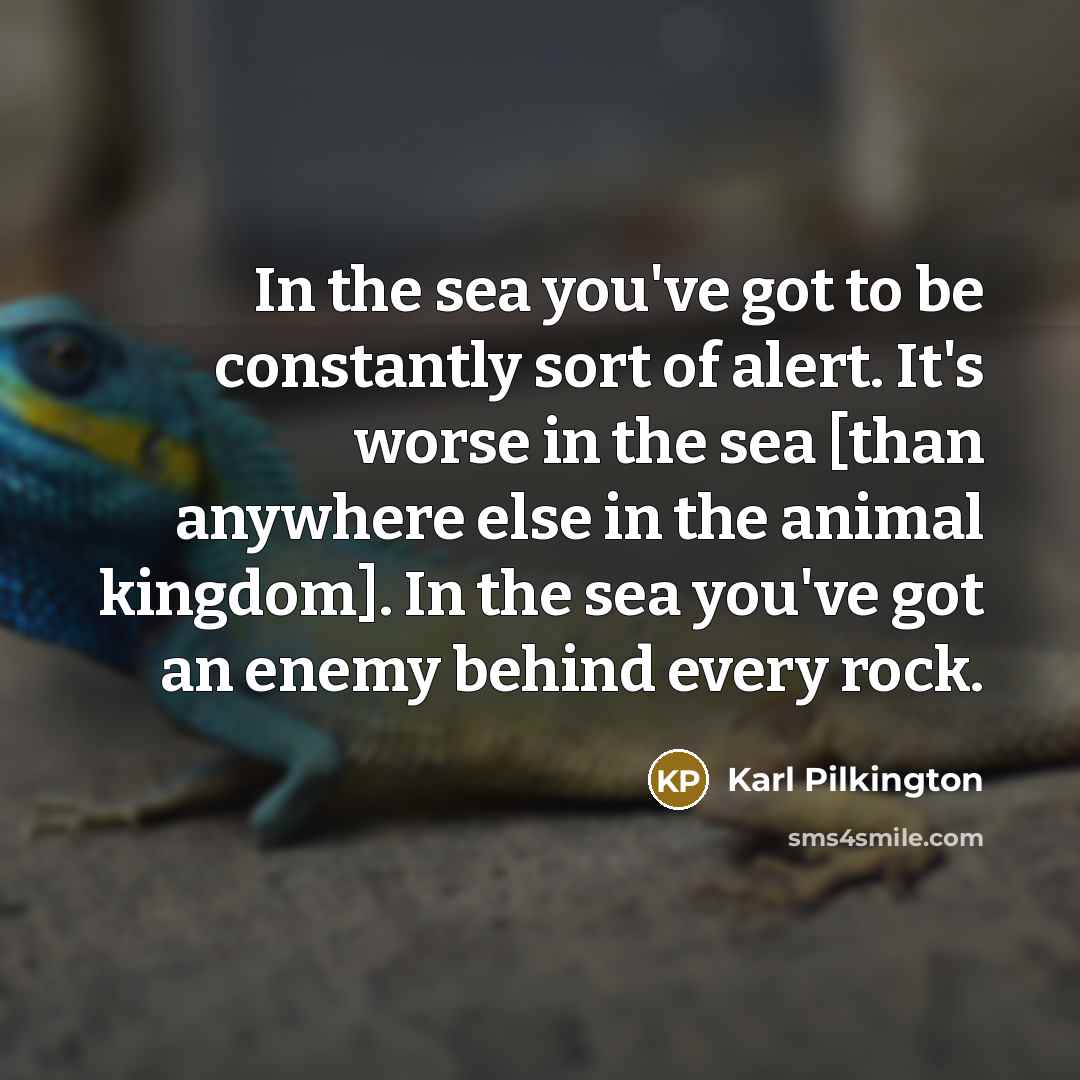 “In the sea you've got to be constantly sort of…” quote by Karl Pilkington
