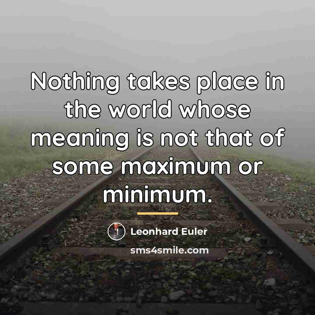 “Nothing takes place in the world whose meaning is not…” quote by Leonhard Euler