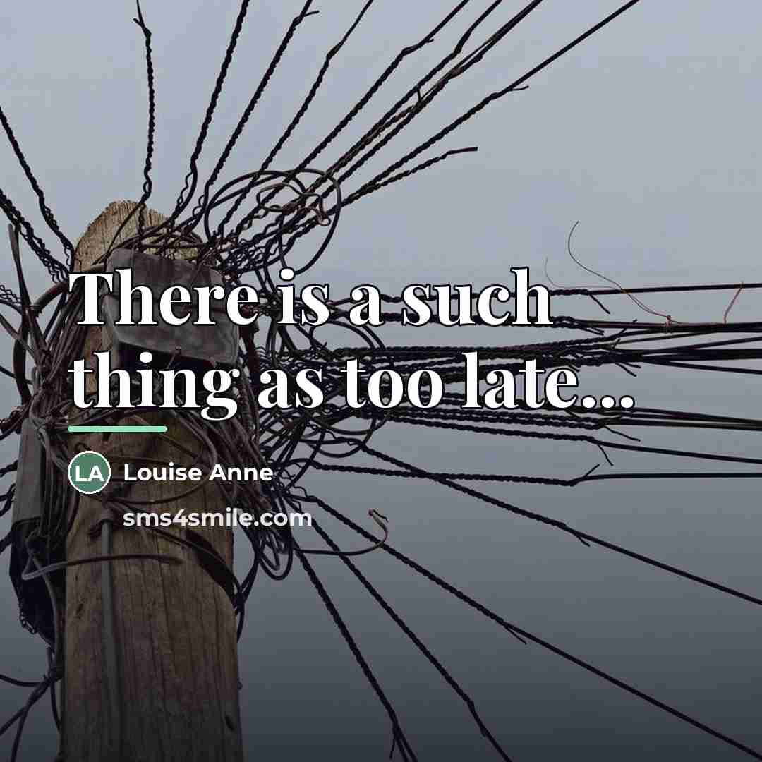 “There is a such thing as too late...…” quote by Louise Anne