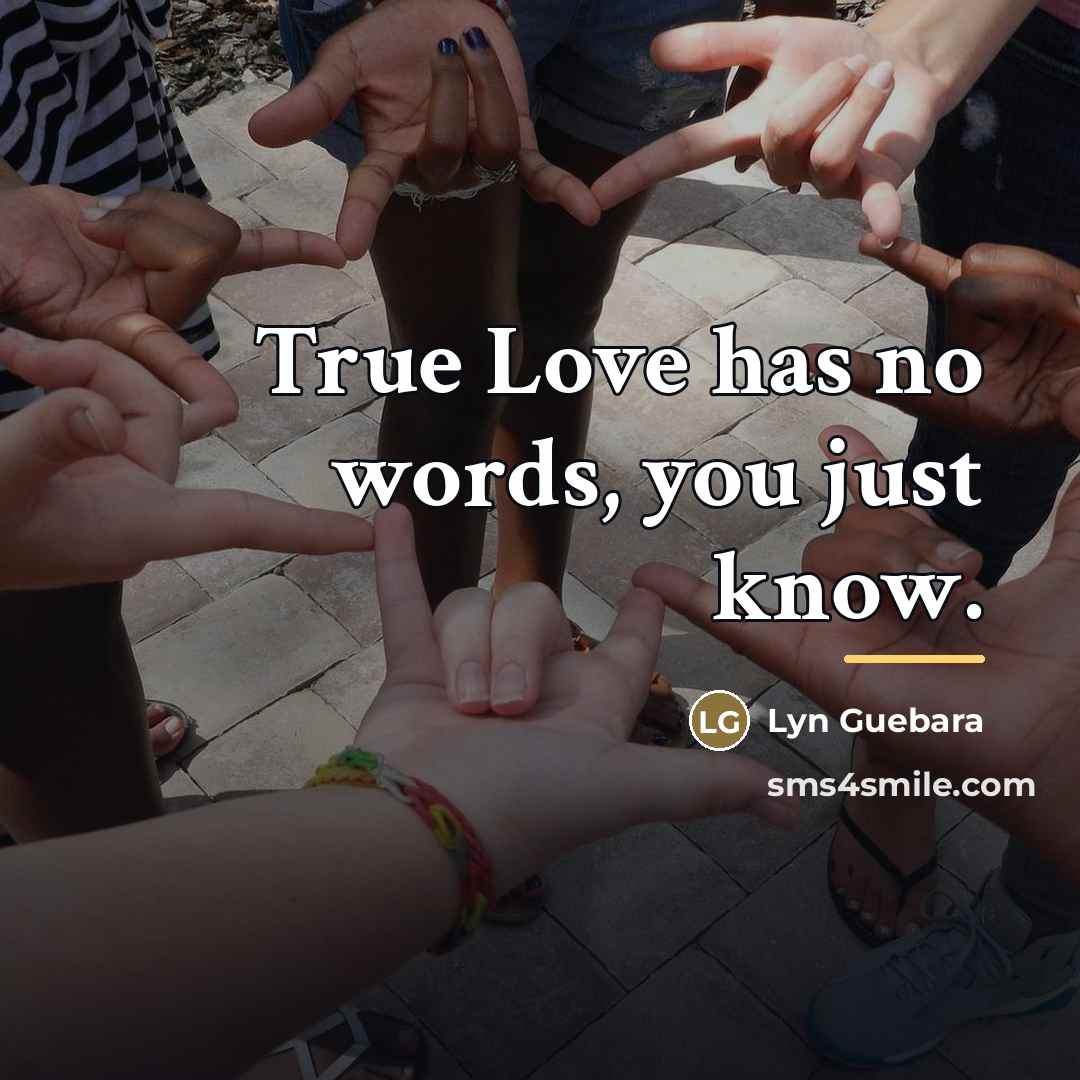 “True Love has no words, you just know.…” quote by Lyn Guebara