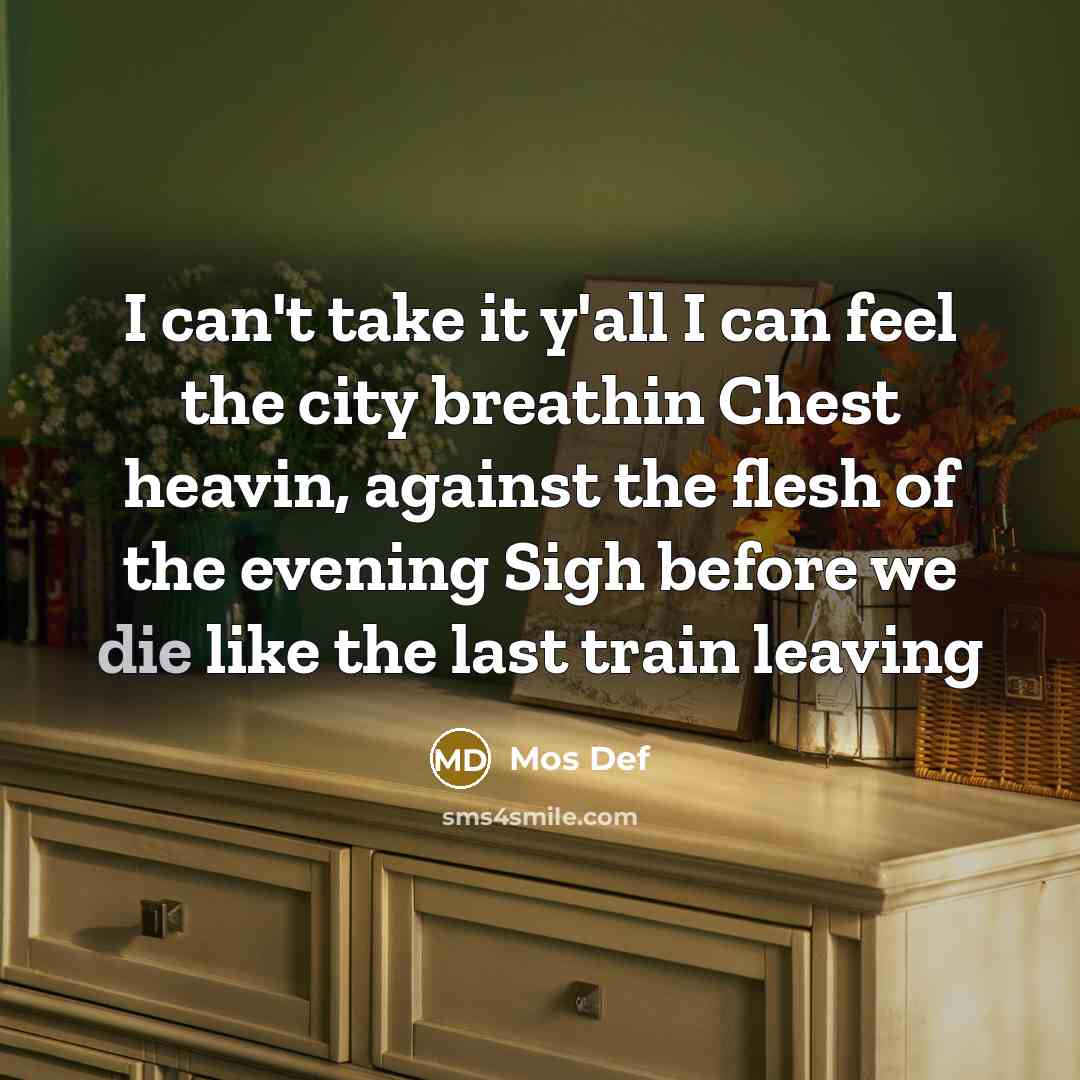 “I can't take it y'all I can feel the city…” quote by Mos Def