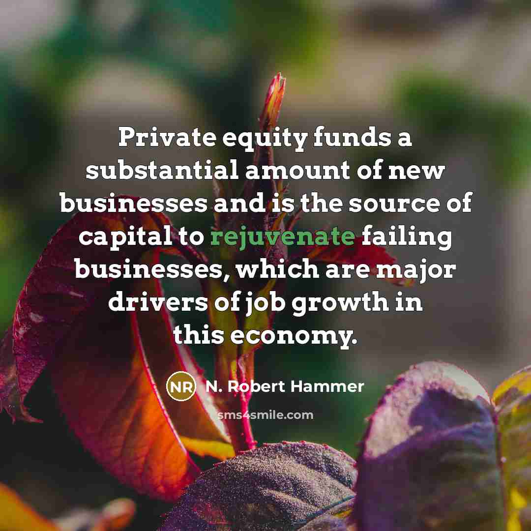 “Private equity funds a substantial amount of new businesses and…” quote by N. Robert Hammer