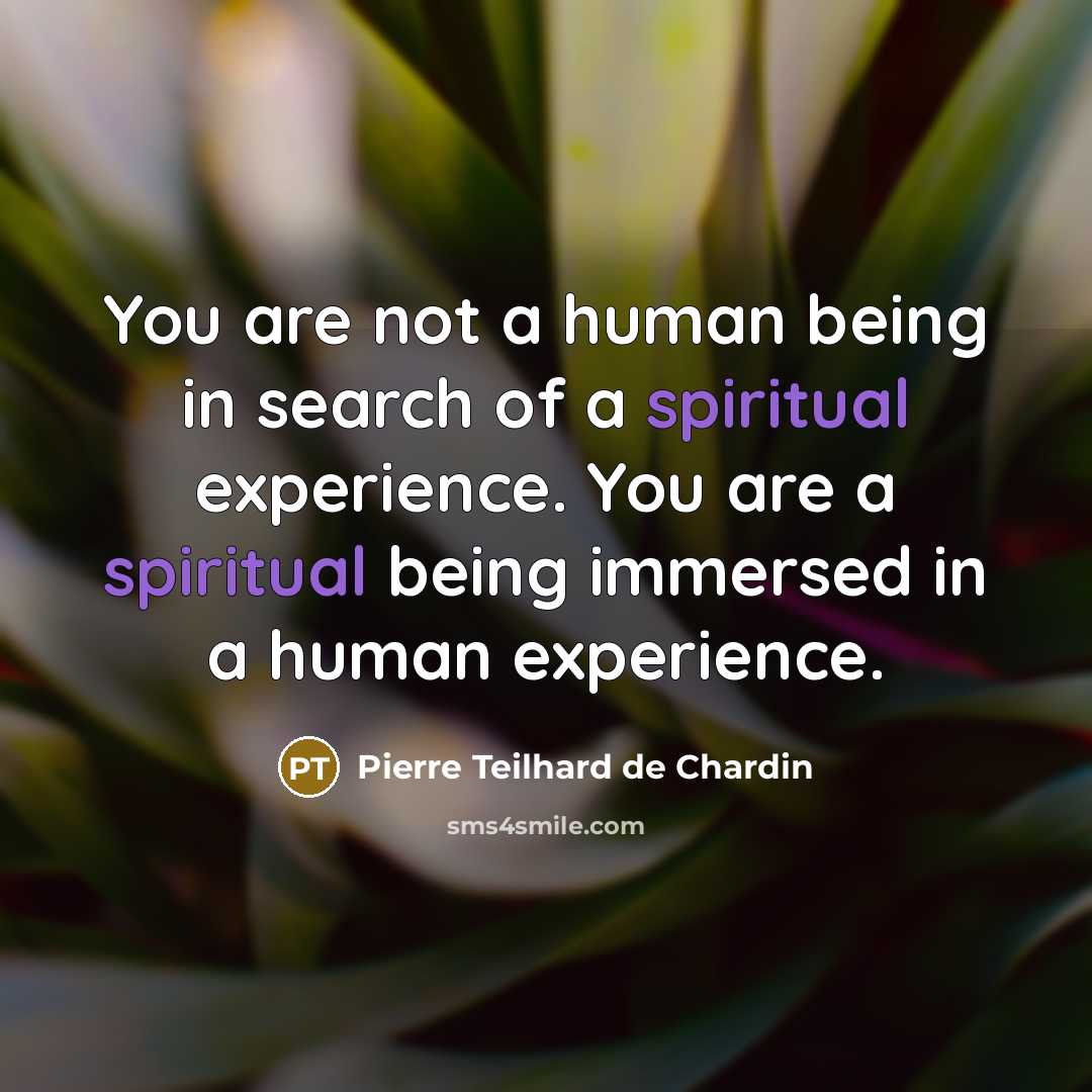 “You are not a human being in search of a…” quote by Pierre Teilhard de Chardin