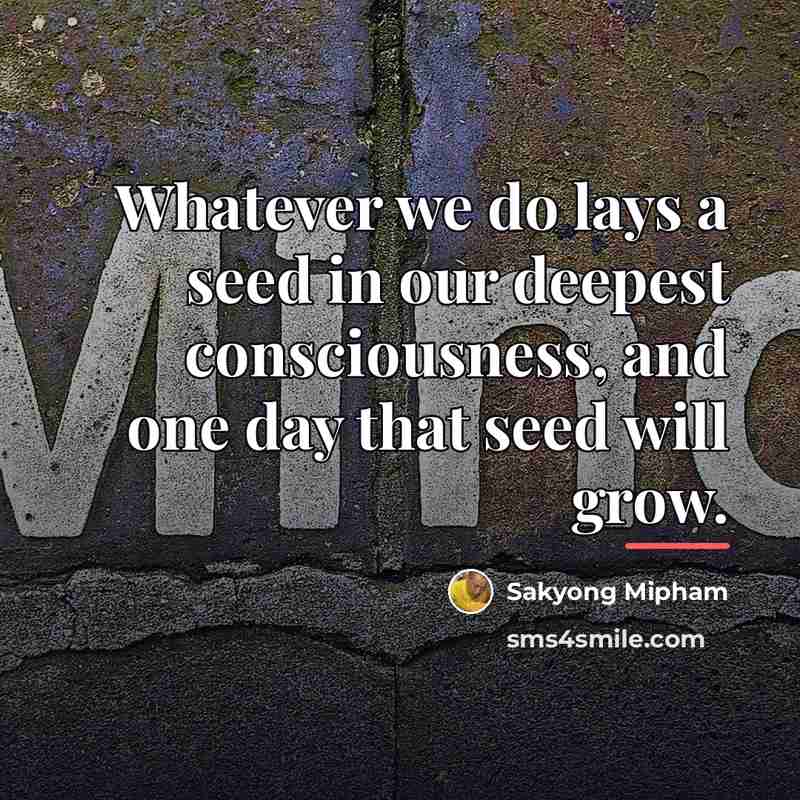 “Whatever we do lays a seed in our deepest consciousness,…” quote by Sakyong Mipham