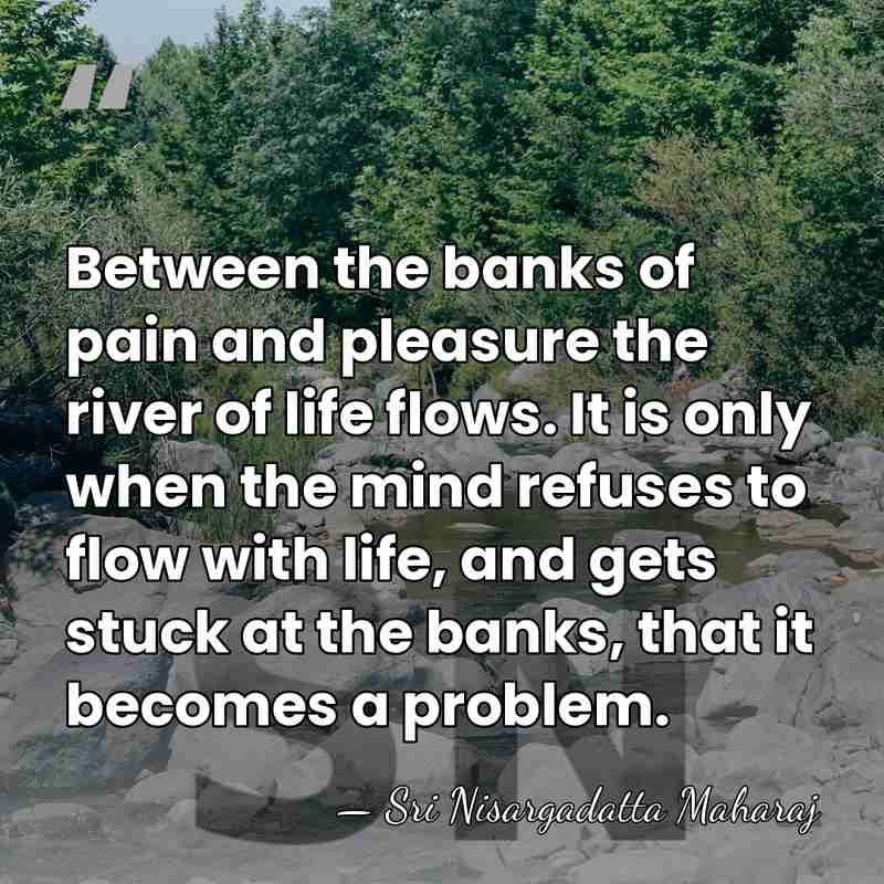 Between the banks of pain and pleasure the river of life flows.&hellip; - Sri Nisargadatta Maharaj