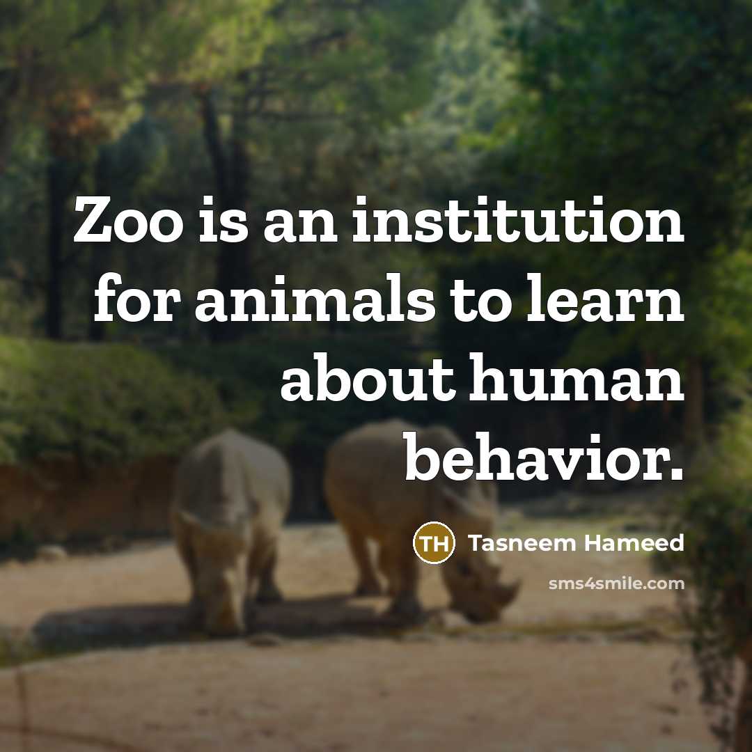 “Zoo is an institution for animals to learn about human…” quote by Tasneem Hameed