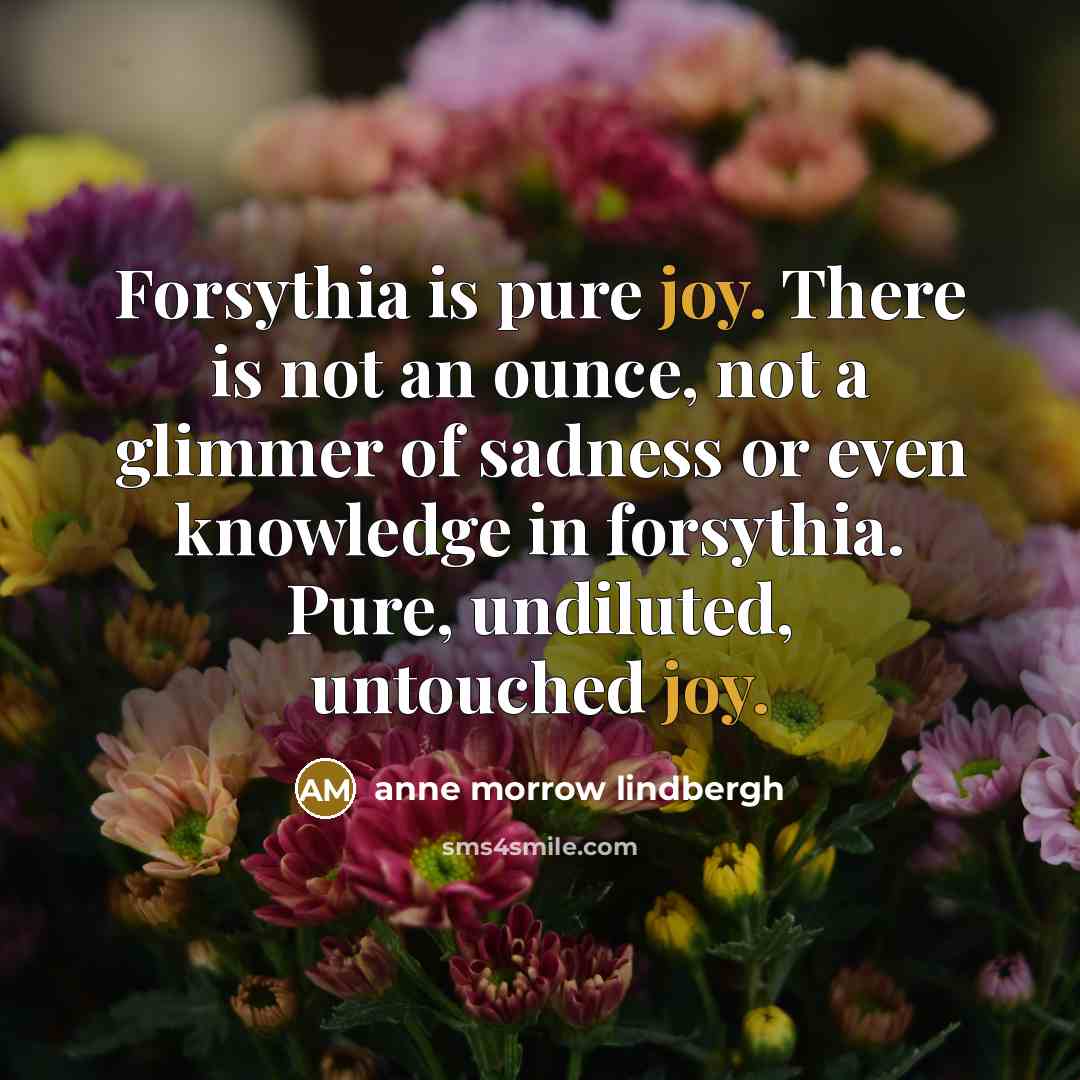 “Forsythia is pure joy. There is not an ounce, not…” quote by Anne Morrow Lindbergh