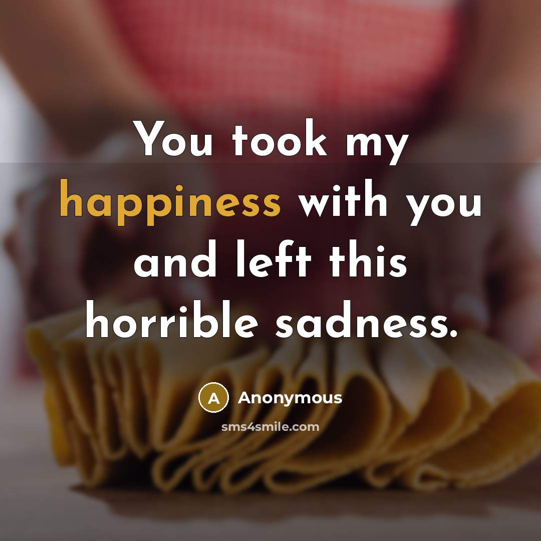 “You took my happiness with you and left this horrible…” quote by Anonymous