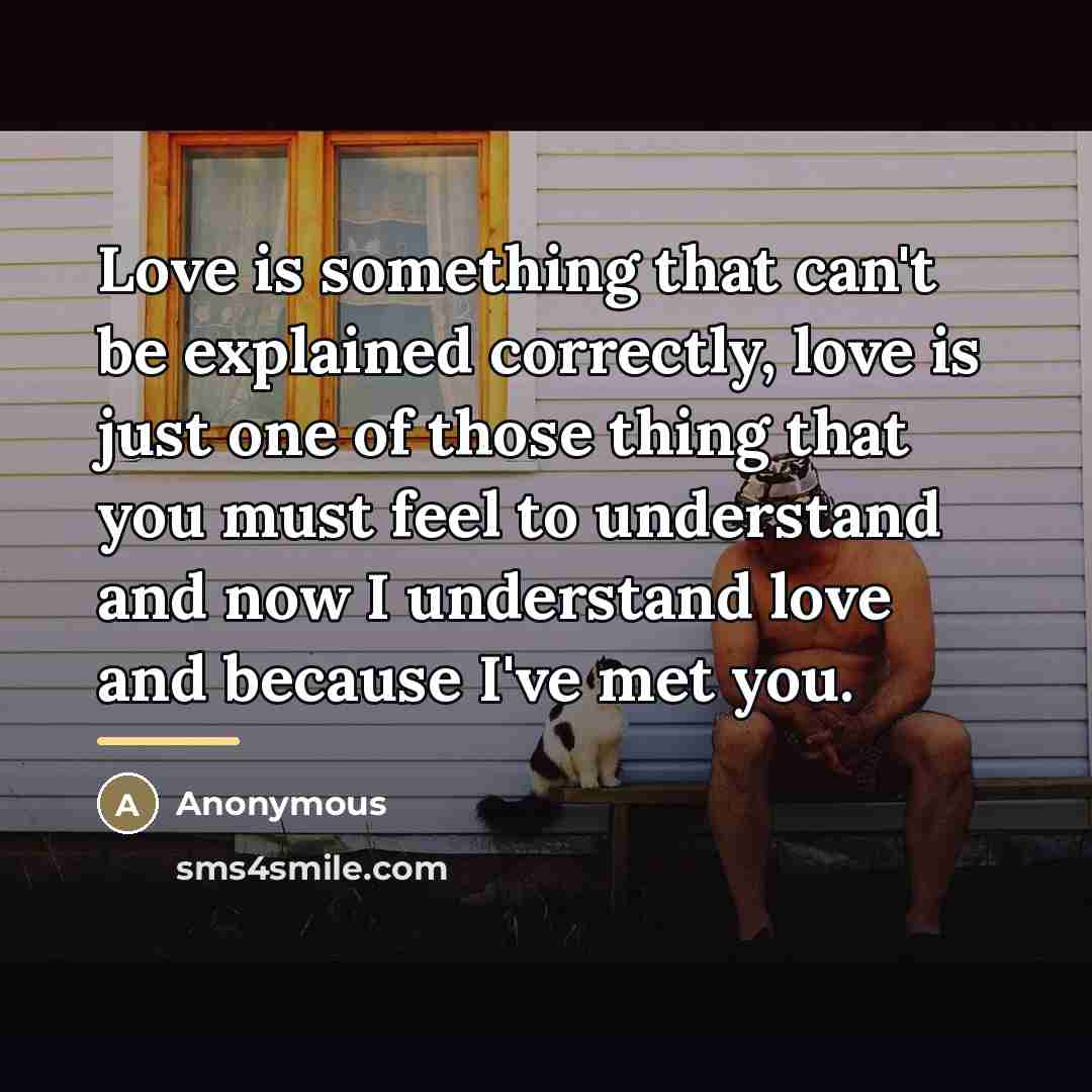 “Love is something that can't be explained correctly, love is…” quote by Anonymous