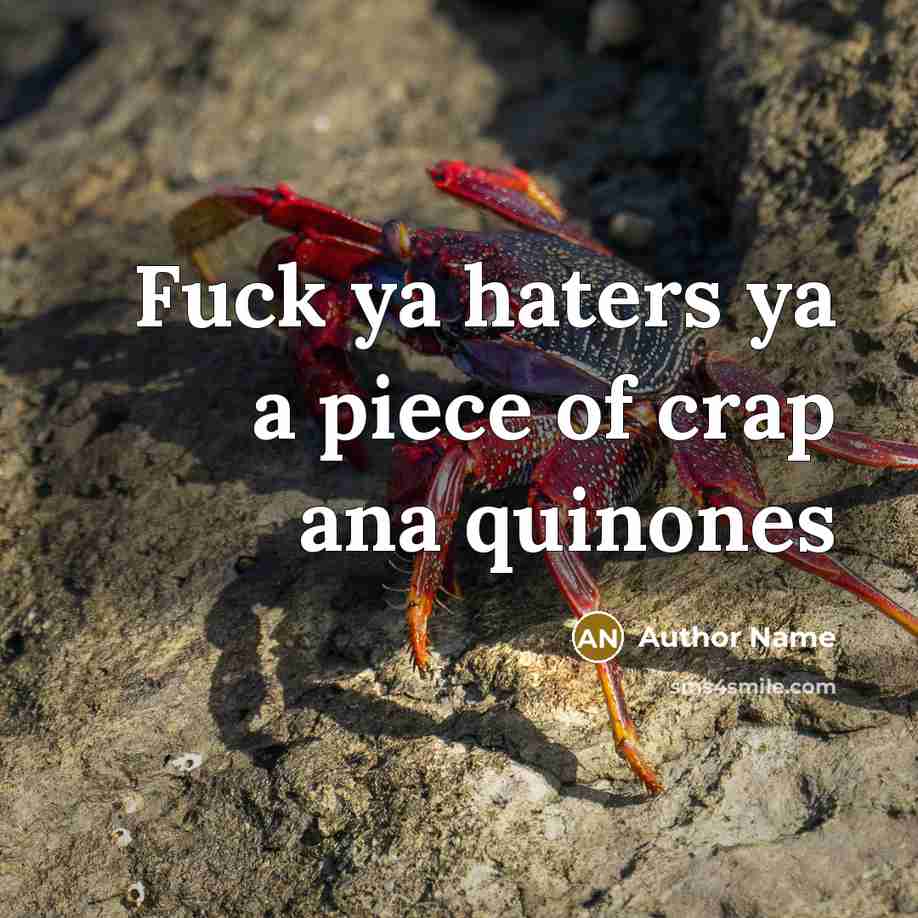 “Fuck ya haters ya a piece of crap ana quinones…” quote by Author Name