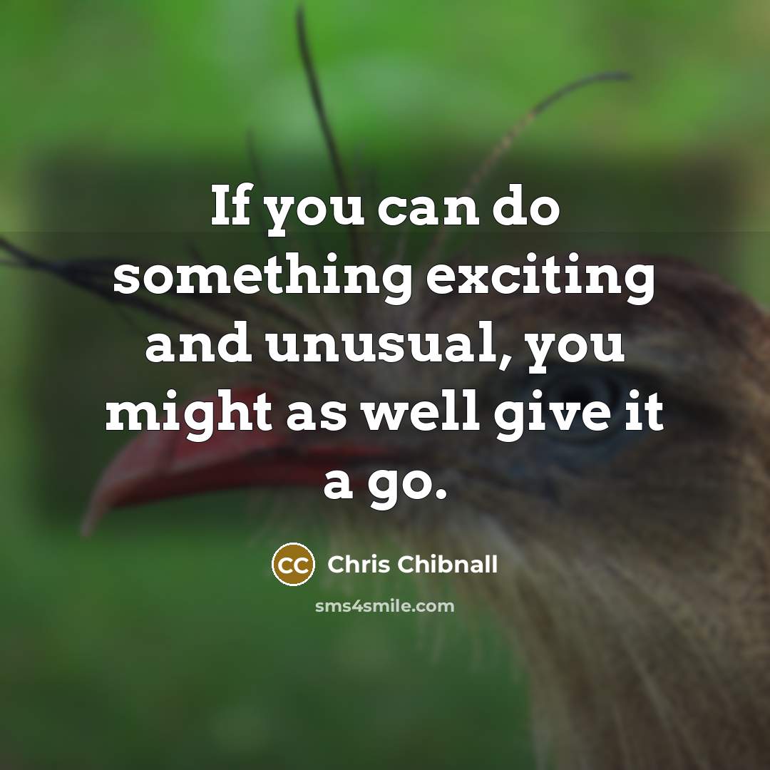 “If you can do something exciting and unusual, you might…” quote by Chris Chibnall