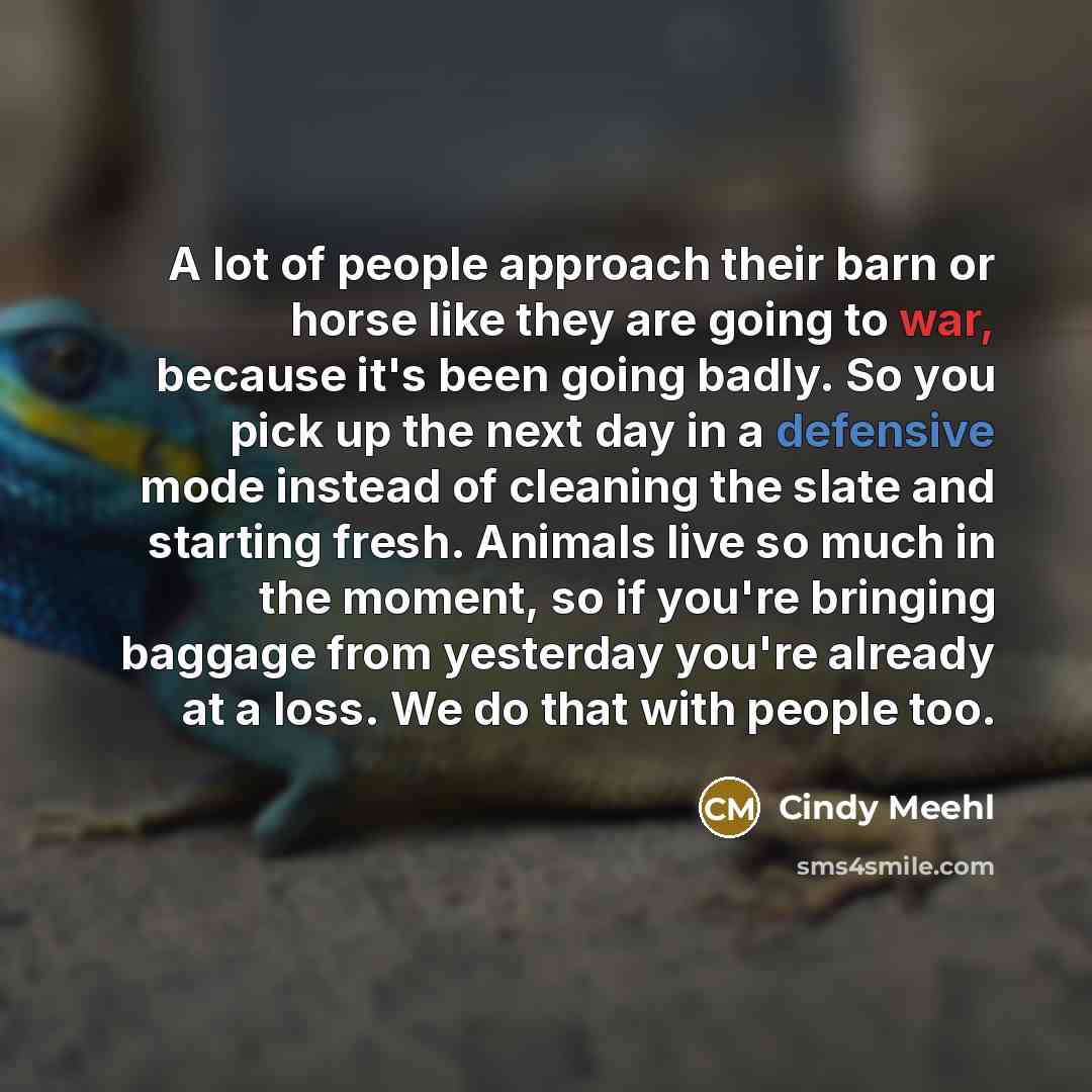 “A lot of people approach their barn or horse like…” quote by Cindy Meehl
