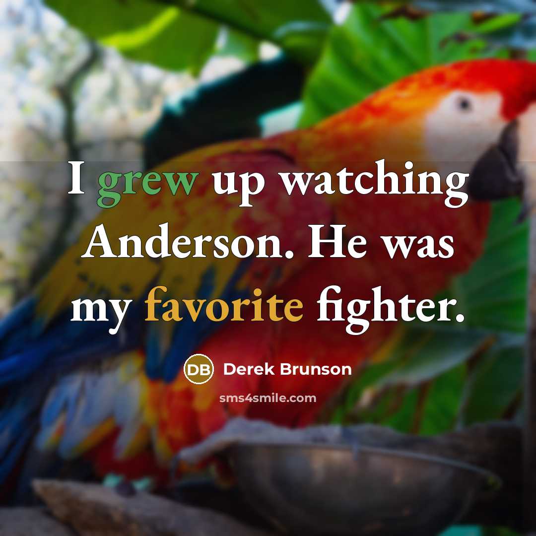 “I grew up watching Anderson. He was my favorite fighter.” quote by Derek Brunson