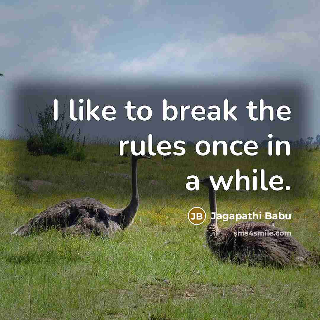 “I like to break the rules once in a while.…” quote by Jagapathi Babu
