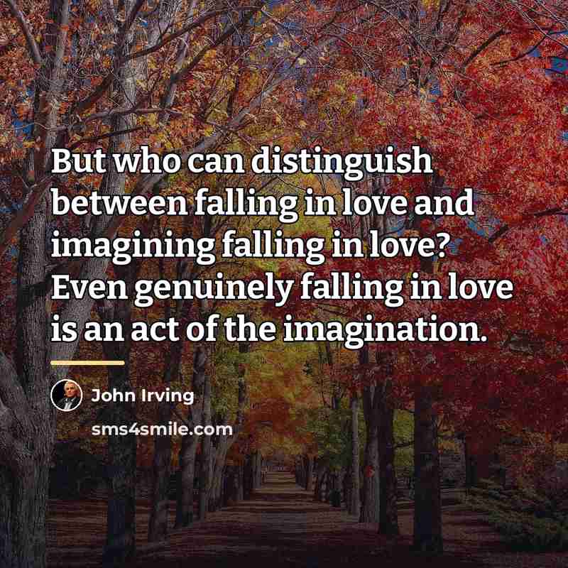“But who can distinguish between falling in love and imagining…” quote by John Irving
