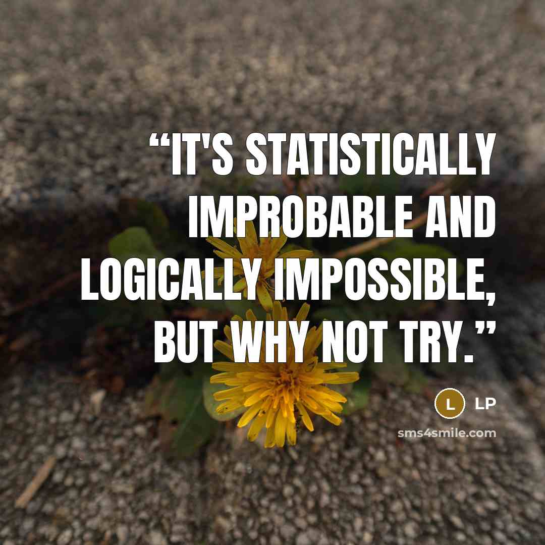 “It's statistically improbable and logically impossible, but why not try.” quote by LP