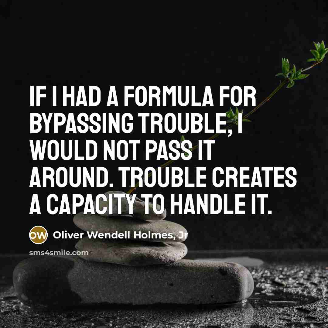 “If I had a formula for bypassing trouble, I would…” quote by Oliver Wendell Holmes, Jr