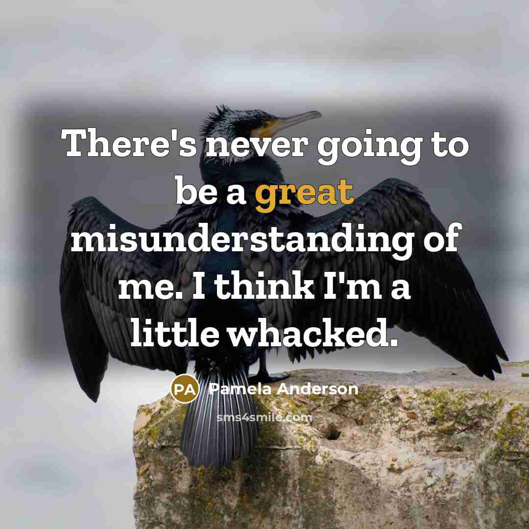 “There's never going to be a great misunderstanding of me.…” quote by Pamela Anderson