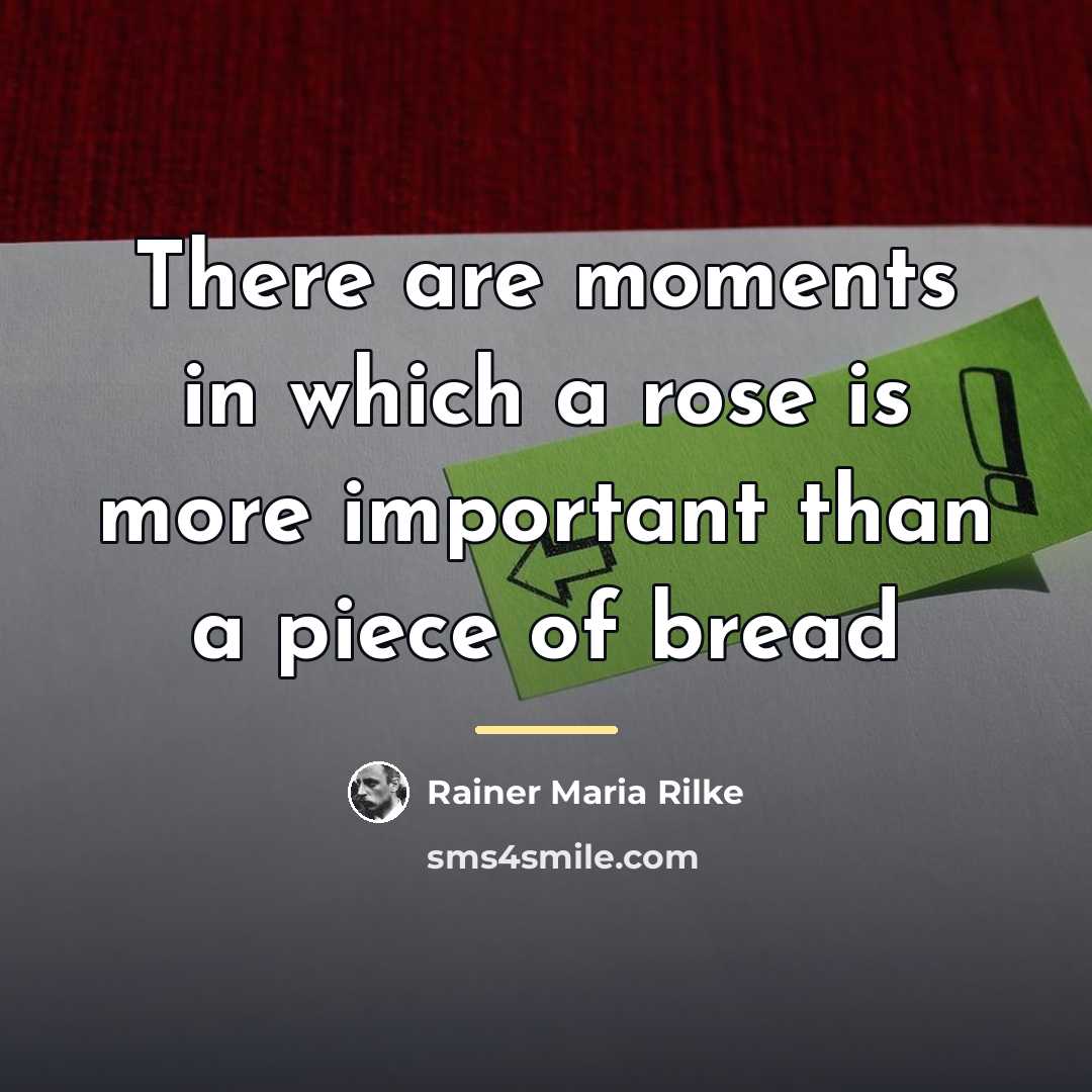 “There are moments in which a rose is more important…” quote by Rainer Maria Rilke