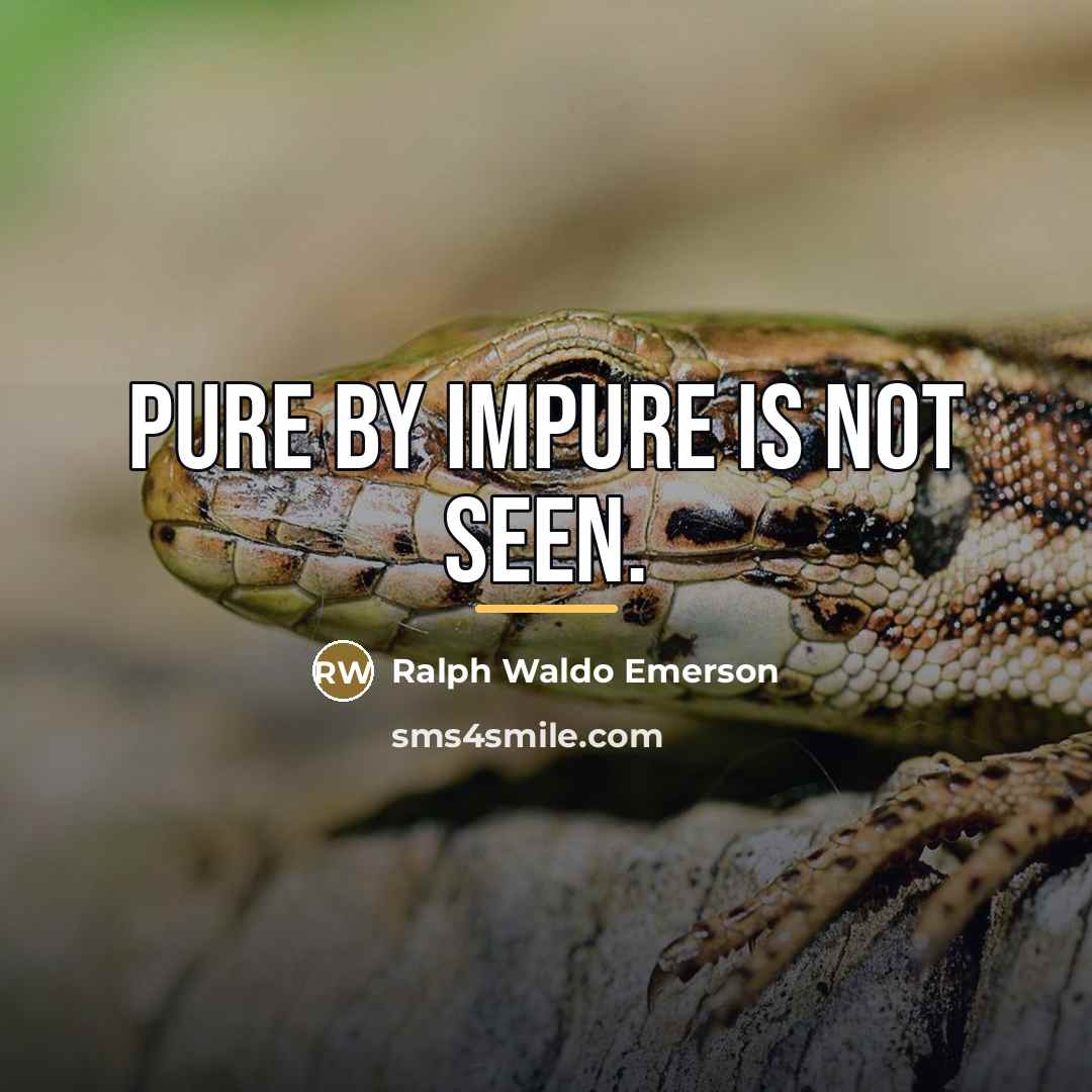 “Pure by impure is not seen.…” quote by Ralph Waldo Emerson