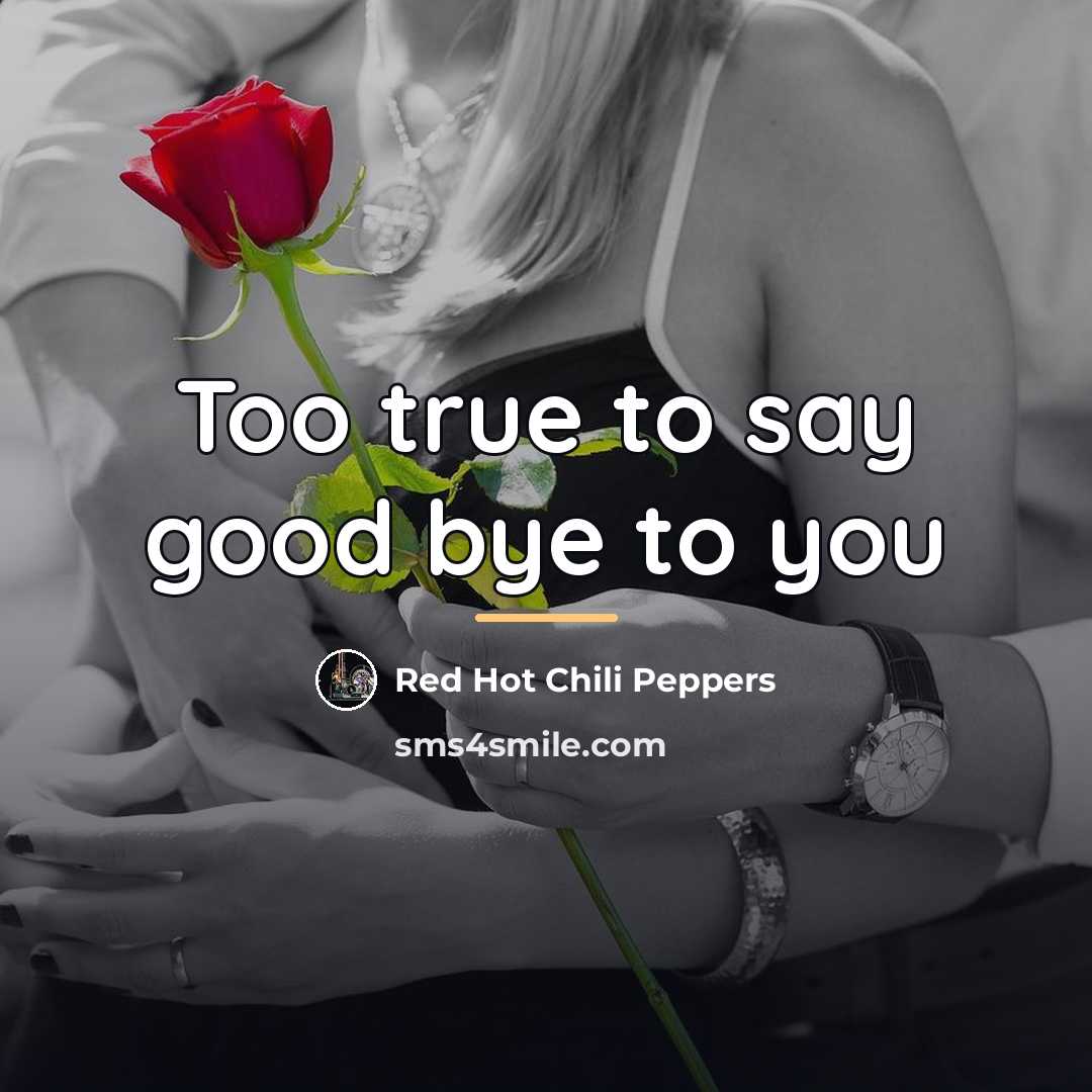“Too true to say good bye to you…” quote by Red Hot Chili Peppers