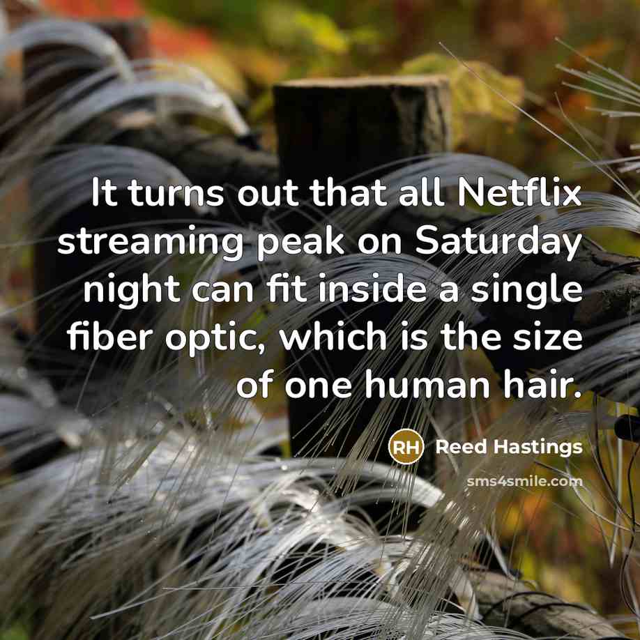 “It turns out that all Netflix streaming peak on Saturday…” quote by Reed Hastings