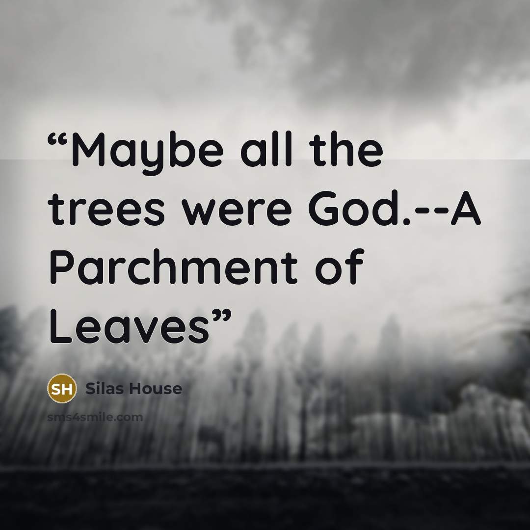 “Maybe all the trees were God.--A Parchment of Leaves” quote by Silas House