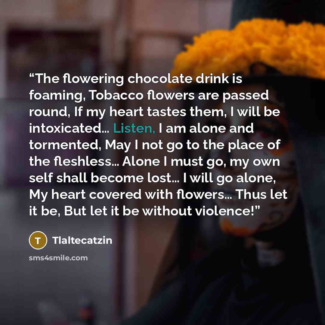 “The flowering chocolate drink is foaming, Tobacco flowers are passed round, If my heart tastes them, I will be intoxicated… Listen, I am alone and tormented, May I not go to the place of the fleshless… Alone I must go, my own self shall become lost… I will go alone, My heart covered with flowers……” quote by Tlaltecatzin