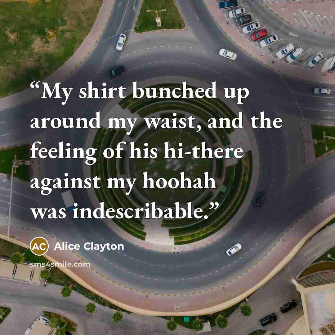 “My shirt bunched up around my waist, and the feeling of his hi-there against my hoohah was indescribable.” quote by Alice Clayton
