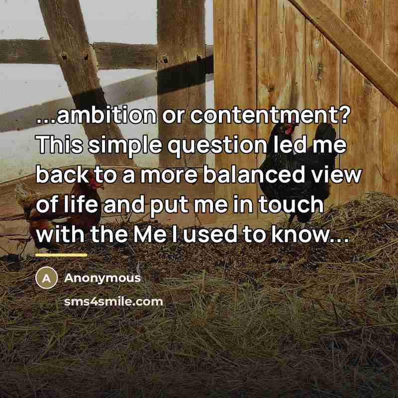 “...ambition or contentment? This simple question led me back to…” quote by Anonymous