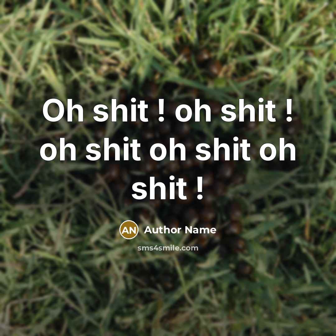 “Oh shit ! oh shit ! oh shit oh shit…” quote by Author Name