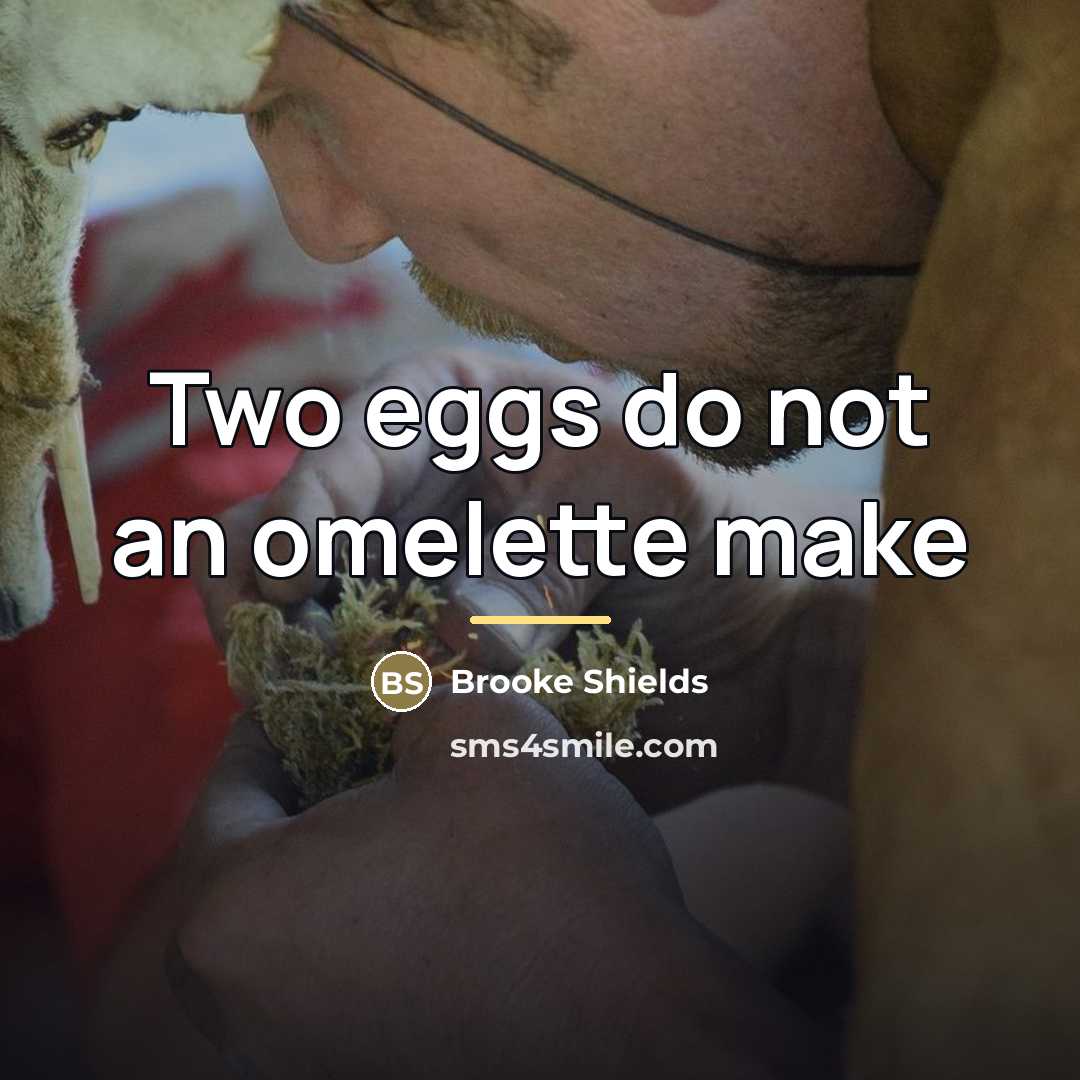 “Two eggs do not an omelette make…” quote by Brooke Shields
