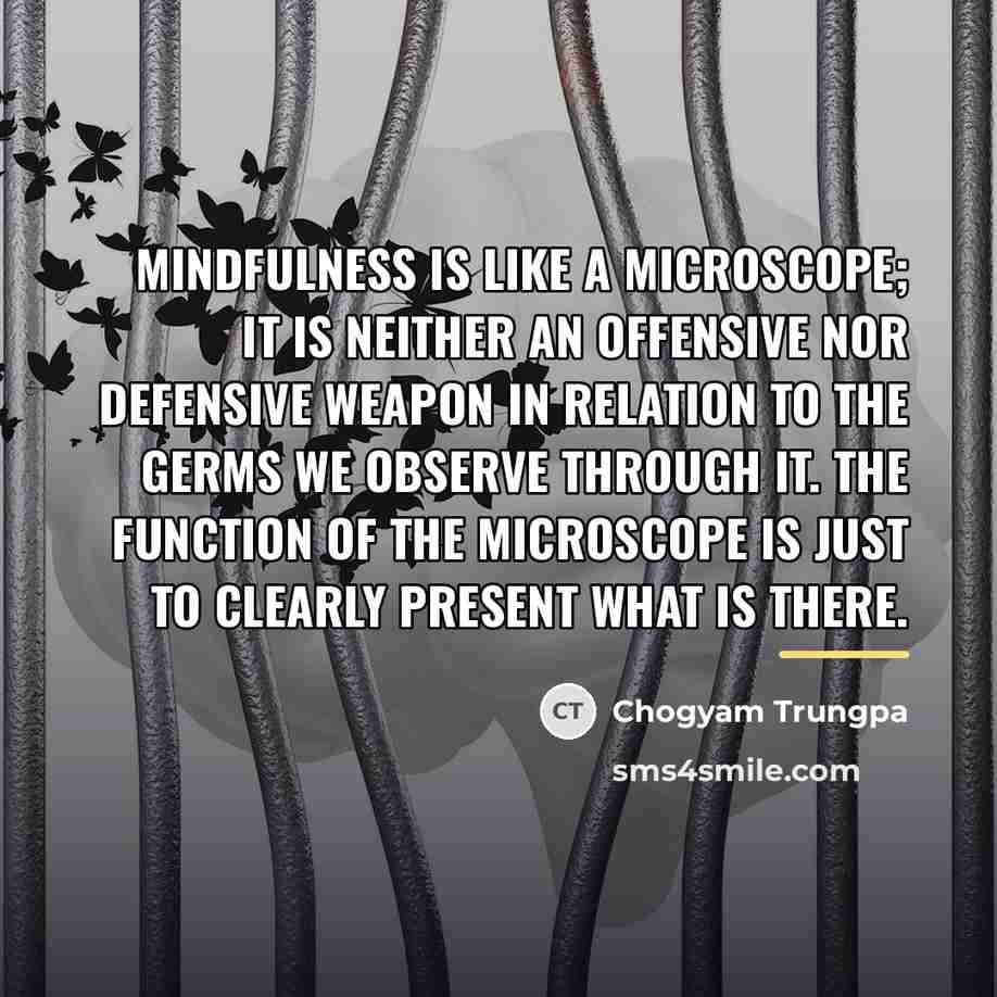 “Mindfulness is like a microscope; it is neither an offensive…” quote by Chogyam Trungpa
