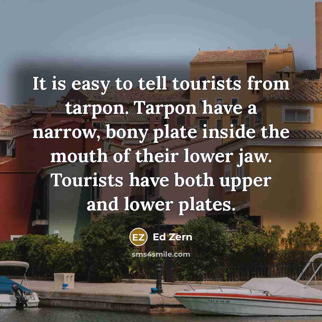“It is easy to tell tourists from tarpon. Tarpon have…” quote by Ed Zern