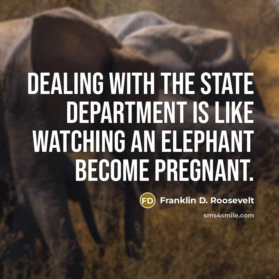“Dealing with the State Department is like watching an elephant…” quote by Franklin D. Roosevelt