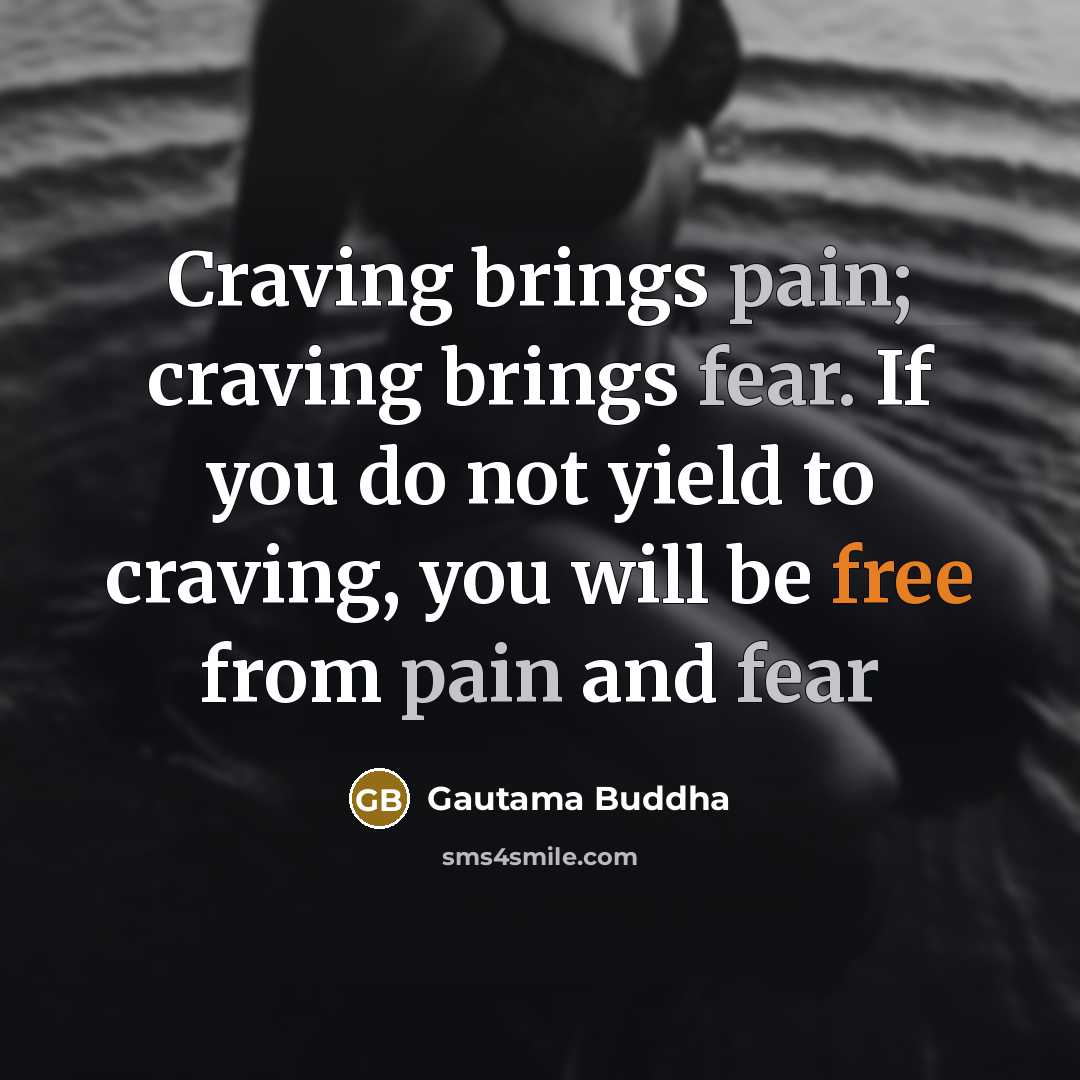 “Craving brings pain; craving brings fear. If you do not…” quote by Gautama Buddha
