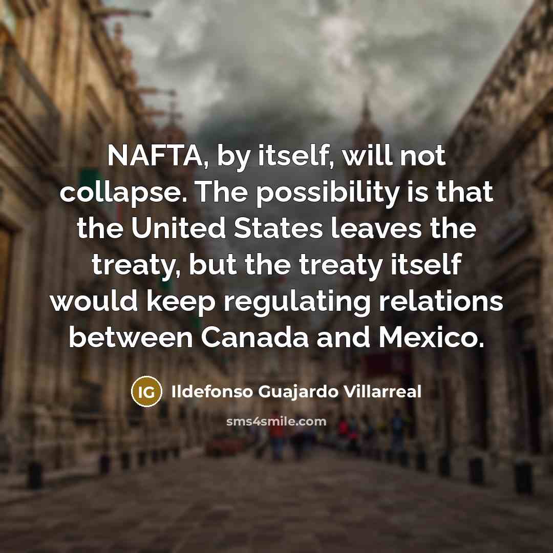 “NAFTA, by itself, will not collapse. The possibility is that…” quote by Ildefonso Guajardo Villarreal