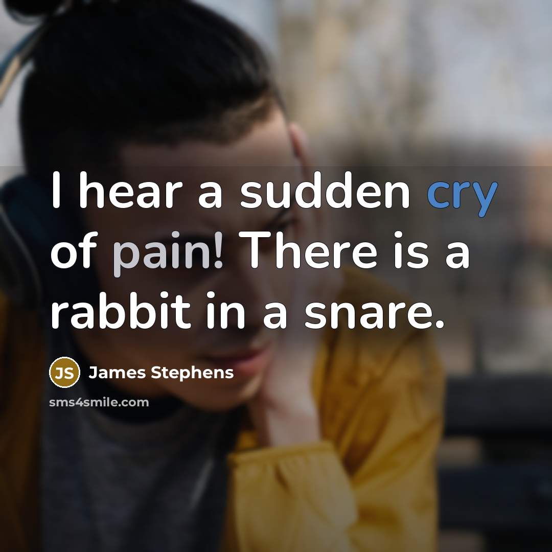 “I hear a sudden cry of pain! There is a…” quote by James Stephens