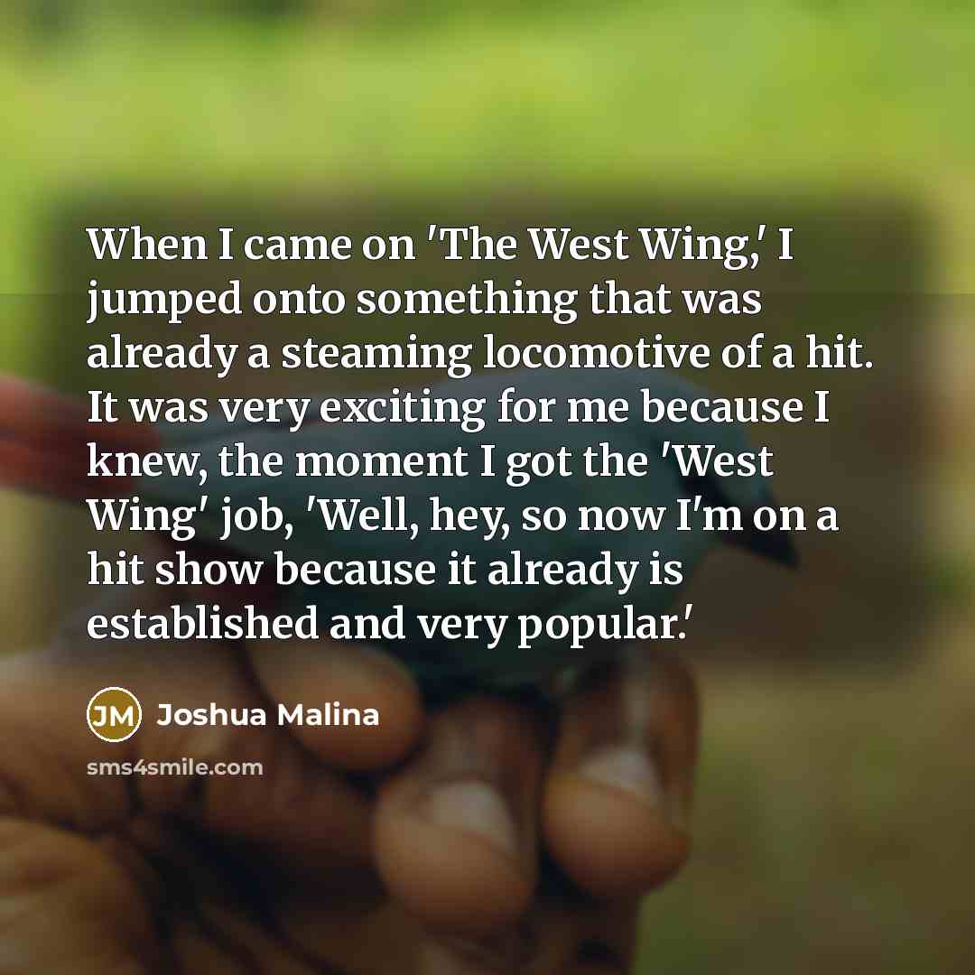 “When I came on 'The West Wing,' I jumped onto…” quote by Joshua Malina