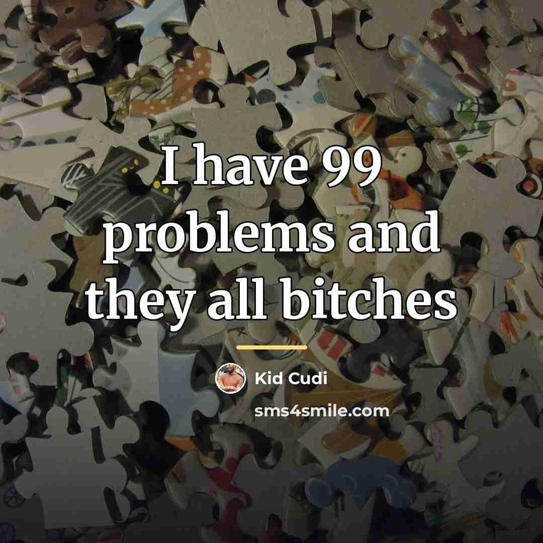 “I have 99 problems and they all bitches…” quote by Kid Cudi