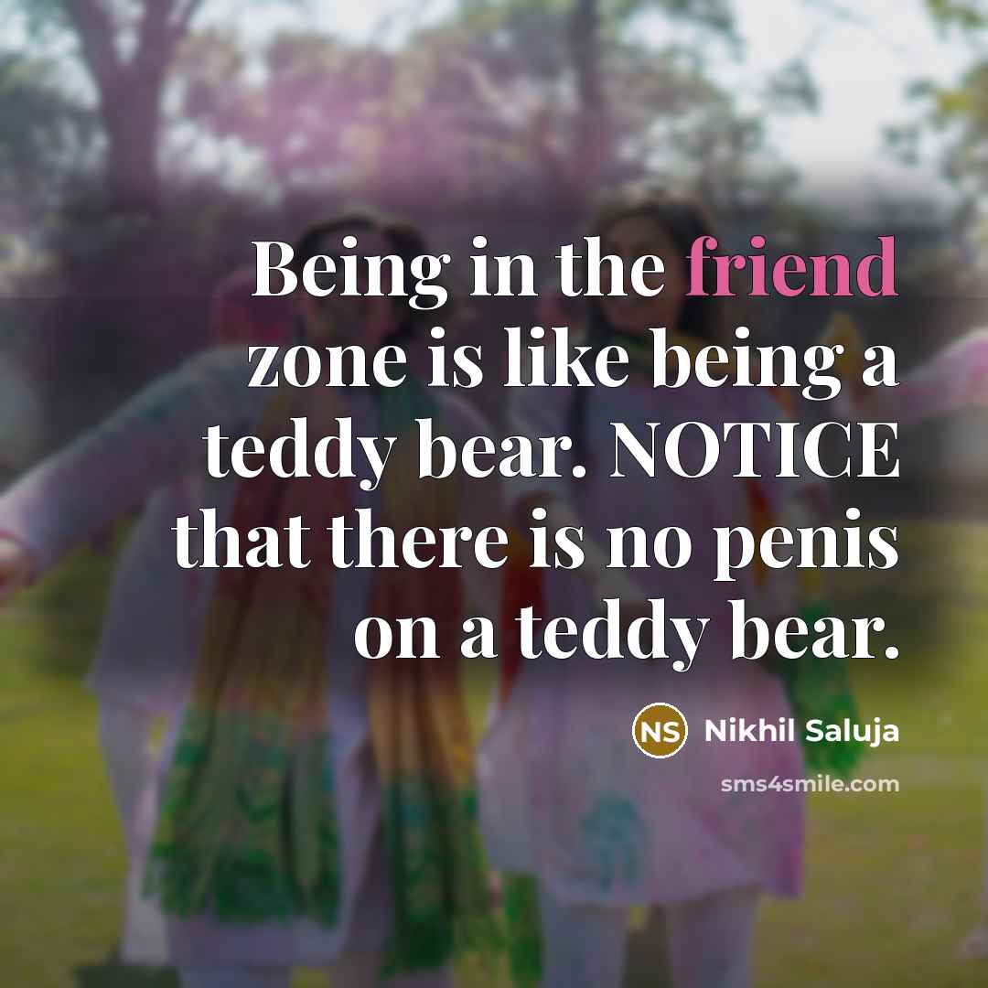 “Being in the friend zone is like being a teddy bear. NOTICE that there is no penis on a teddy bear.” quote by Nikhil Saluja