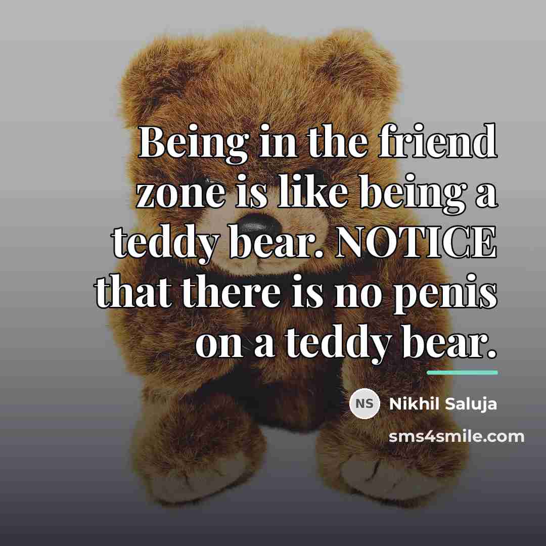 “Being in the friend zone is like being a teddy…” quote by Nikhil Saluja