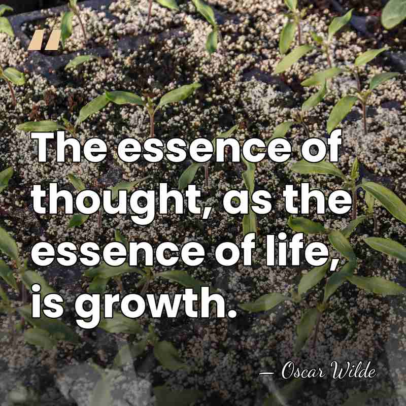 The essence of thought, as the essence of life, is growth. - Oscar Wilde
