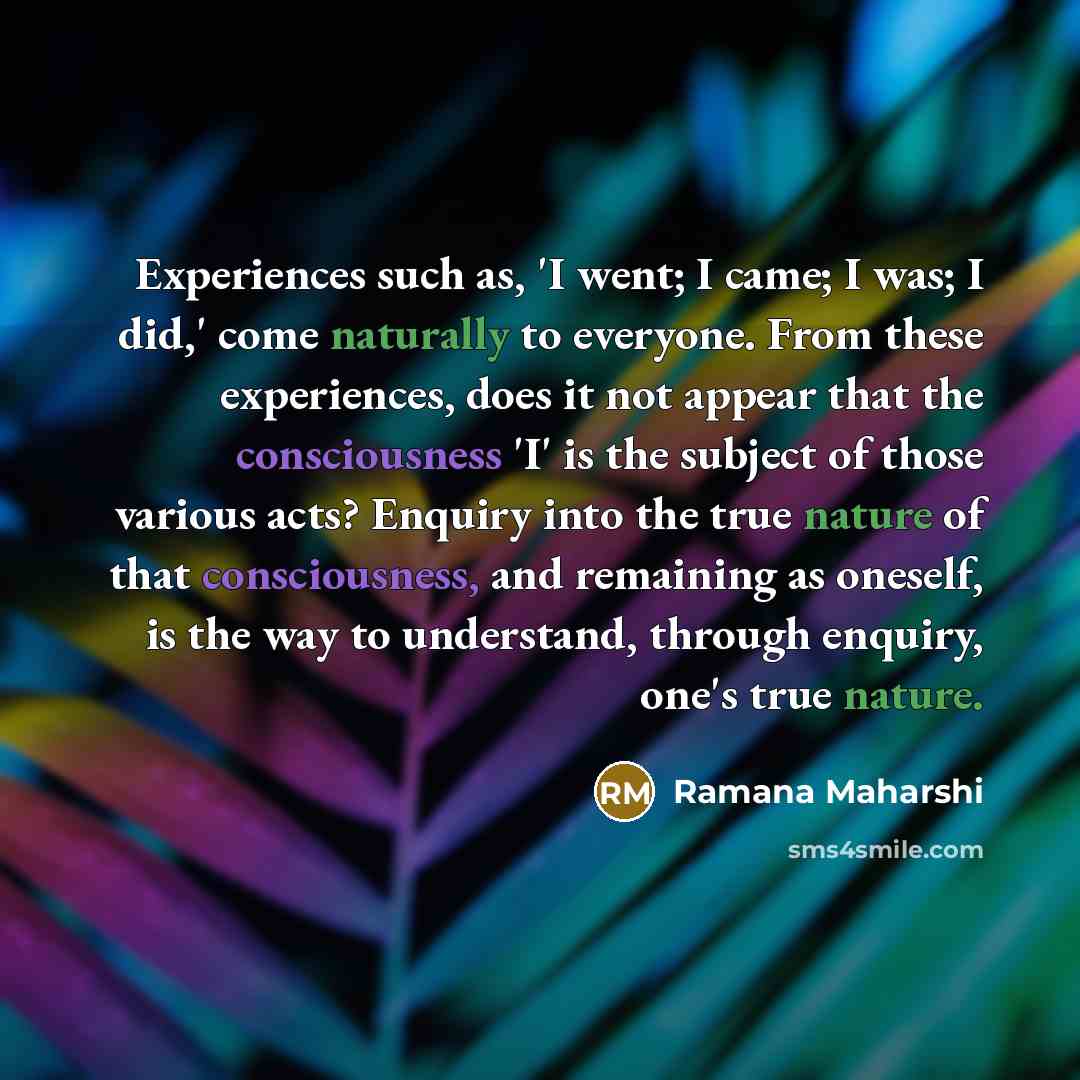 “Experiences such as, 'I went; I came; I was; I…” quote by Ramana Maharshi