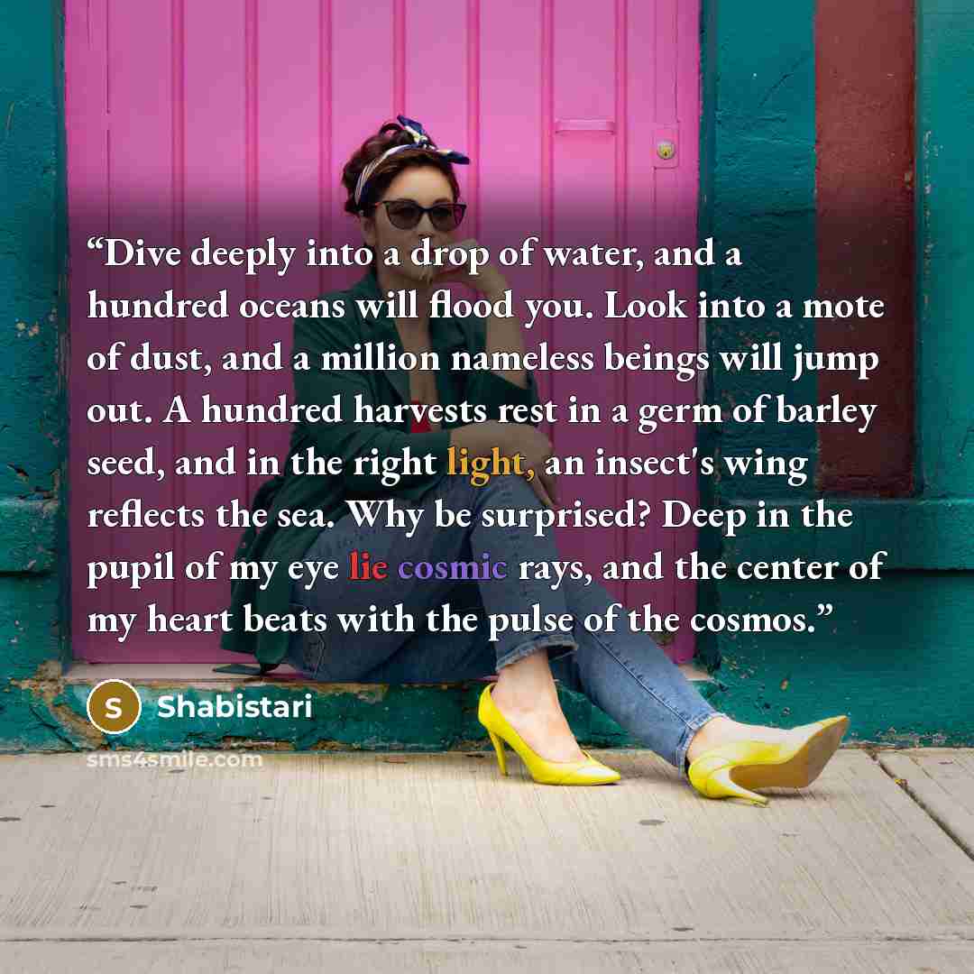 “Dive deeply into a drop of water, and a hundred oceans will flood you. Look into a mote of dust, and a million nameless beings will jump out. A hundred harvests rest in a germ of barley seed, and in the right light, an insect's wing reflects the sea. Why be surprised? Deep in the pupil of my eye…” quote by Shabistari