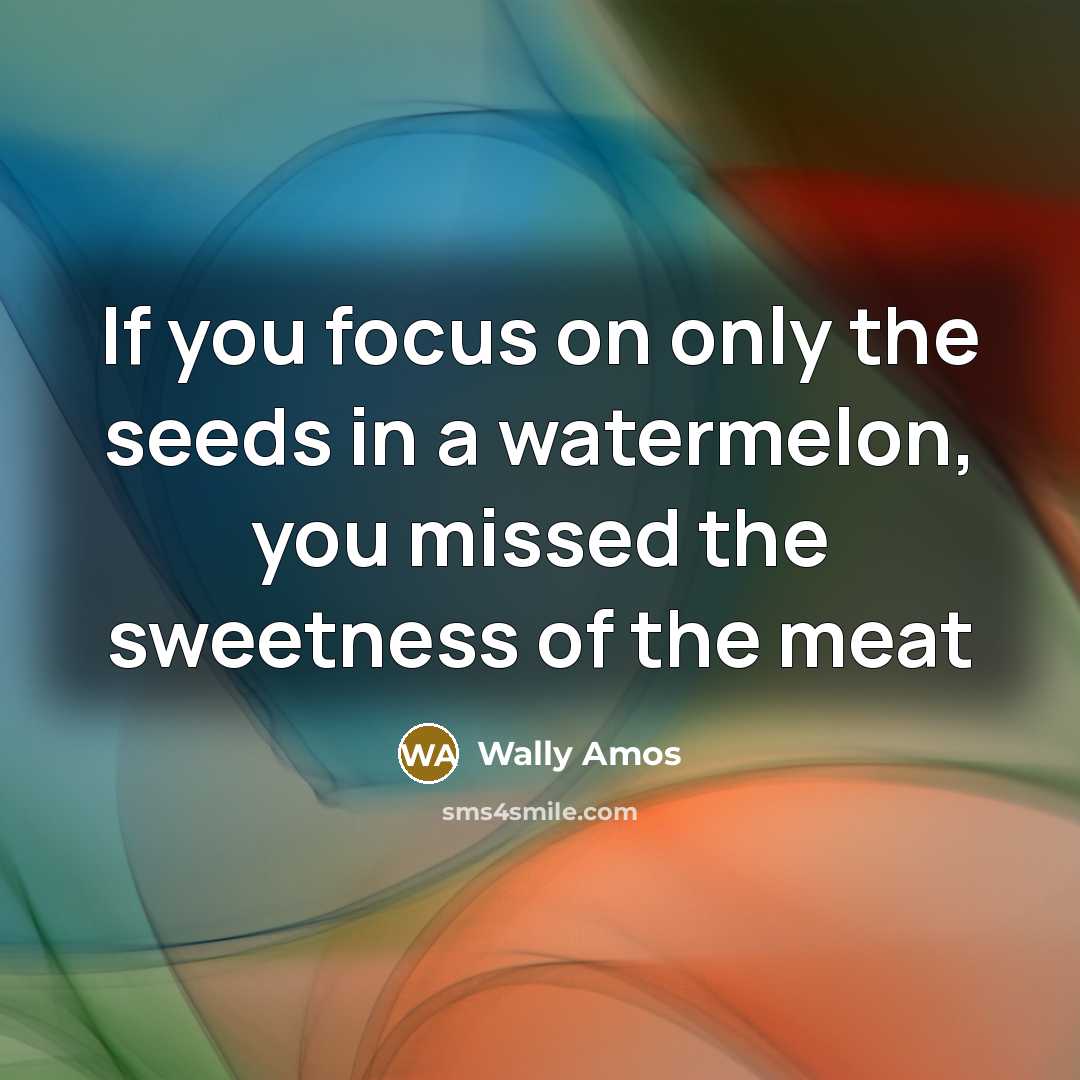 “If you focus on only the seeds in a watermelon,…” quote by Wally Amos