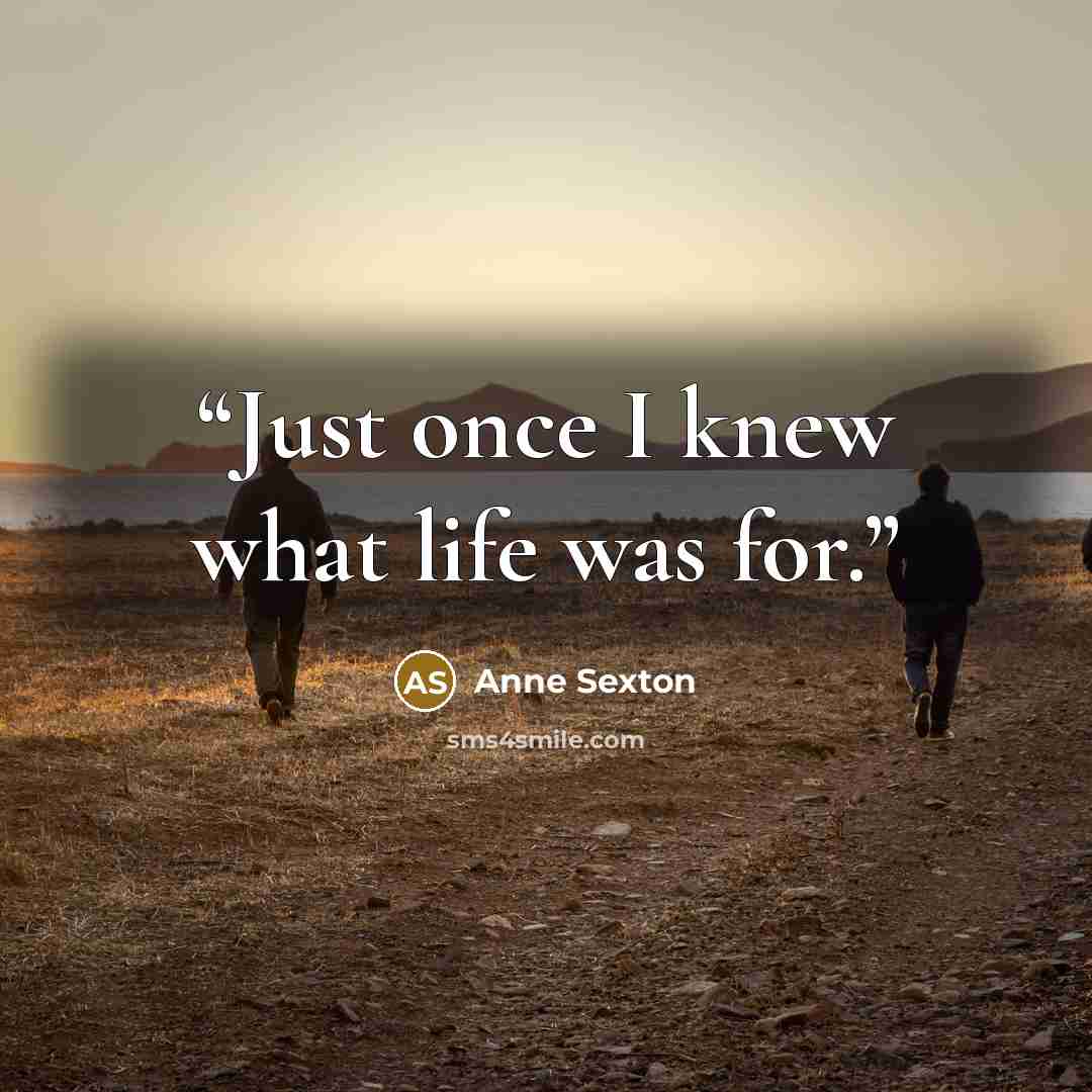 “Just once I knew what life was for.” quote by Anne Sexton