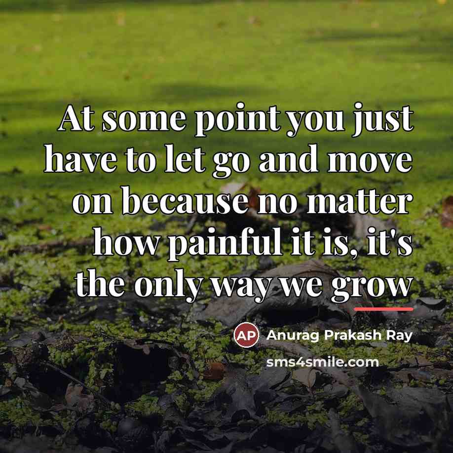 “At some point you just have to let go and…” quote by Anurag Prakash Ray